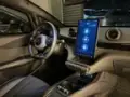 BYD Dolphin Plus - Miniatura 15