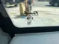 Volvo XC40 Recharge - Miniatura 12