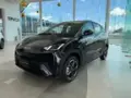 BYD Dolphin Mini - Miniatura 19