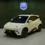 BYD Dolphin Mini - Miniatura 2