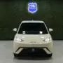 BYD Dolphin Mini - Miniatura 5