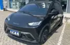 BYD Dolphin Mini - Miniatura 1