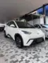 BYD Dolphin Mini - Miniatura 1