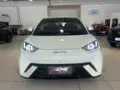 BYD Dolphin Mini - Miniatura 2