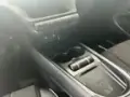 BYD Dolphin Plus - Miniatura 4