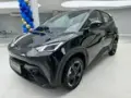 BYD Dolphin Mini - Miniatura 1