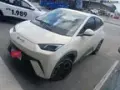 BYD Dolphin Mini - Miniatura 4