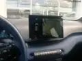 BYD Dolphin Mini - Miniatura 7