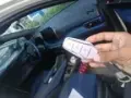 BYD Dolphin Mini - Miniatura 9