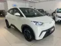 BYD Dolphin - Miniatura 3