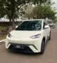 BYD Dolphin Mini - Miniatura 1