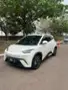 BYD Dolphin Mini - Miniatura 2