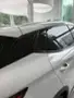 BYD Yuan Plus - Miniatura 14