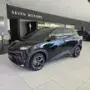 BYD Dolphin Mini - Miniatura 1