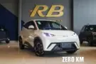 BYD Dolphin Mini - Miniatura 1