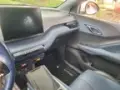 BYD Dolphin Mini - Miniatura 4