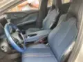BYD Dolphin Mini - Miniatura 7