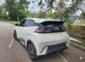BYD Dolphin Mini - Miniatura 13