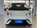 BYD Dolphin Mini - Miniatura 3