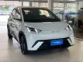 BYD Dolphin Mini - Miniatura 5