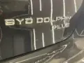BYD Dolphin Plus - Miniatura 17