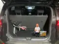 BYD Dolphin Mini - Miniatura 7