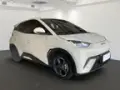 BYD Dolphin Mini - Miniatura 1