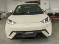 BYD Dolphin Mini - Miniatura 2