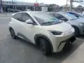 BYD Dolphin Mini - Miniatura 1