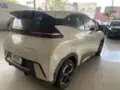 BYD Dolphin Mini - Miniatura 14