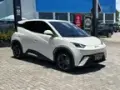 BYD Dolphin Mini - Miniatura 3