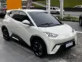 BYD Dolphin Mini - Miniatura 1