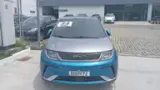 BYD Dolphin Plus - Miniatura 1