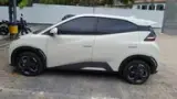 BYD Dolphin Mini - Miniatura 4