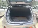 BYD Dolphin - Miniatura 14