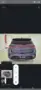 BYD Dolphin Plus - Miniatura 9