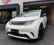 BYD Dolphin - Miniatura 1