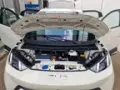 BYD Dolphin Mini - Miniatura 12