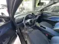 BYD Dolphin Mini - Miniatura 7