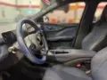 BYD Dolphin Mini - Miniatura 6