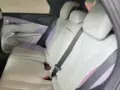 BYD Dolphin Plus - Miniatura 10