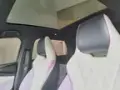 BYD Dolphin Plus - Miniatura 11