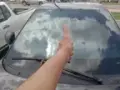 BYD Dolphin Mini - Miniatura 6