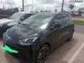 BYD Dolphin Mini - Miniatura 15