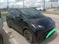 BYD Dolphin Mini - Miniatura 14