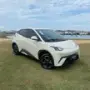 BYD Dolphin Mini - Miniatura 1