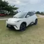 BYD Dolphin Mini - Miniatura 3