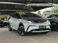 BYD Dolphin Plus - Miniatura 1