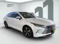 BYD King - Miniatura 2