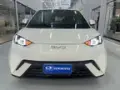 BYD Dolphin Mini - Miniatura 1